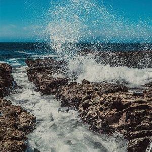 Meet your Posher, Sasha